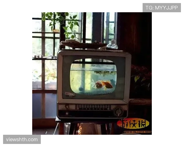 唐佳豪那生活节奏也太反差了,电视里一副冷酷,家里竟然这么暖乎乎?